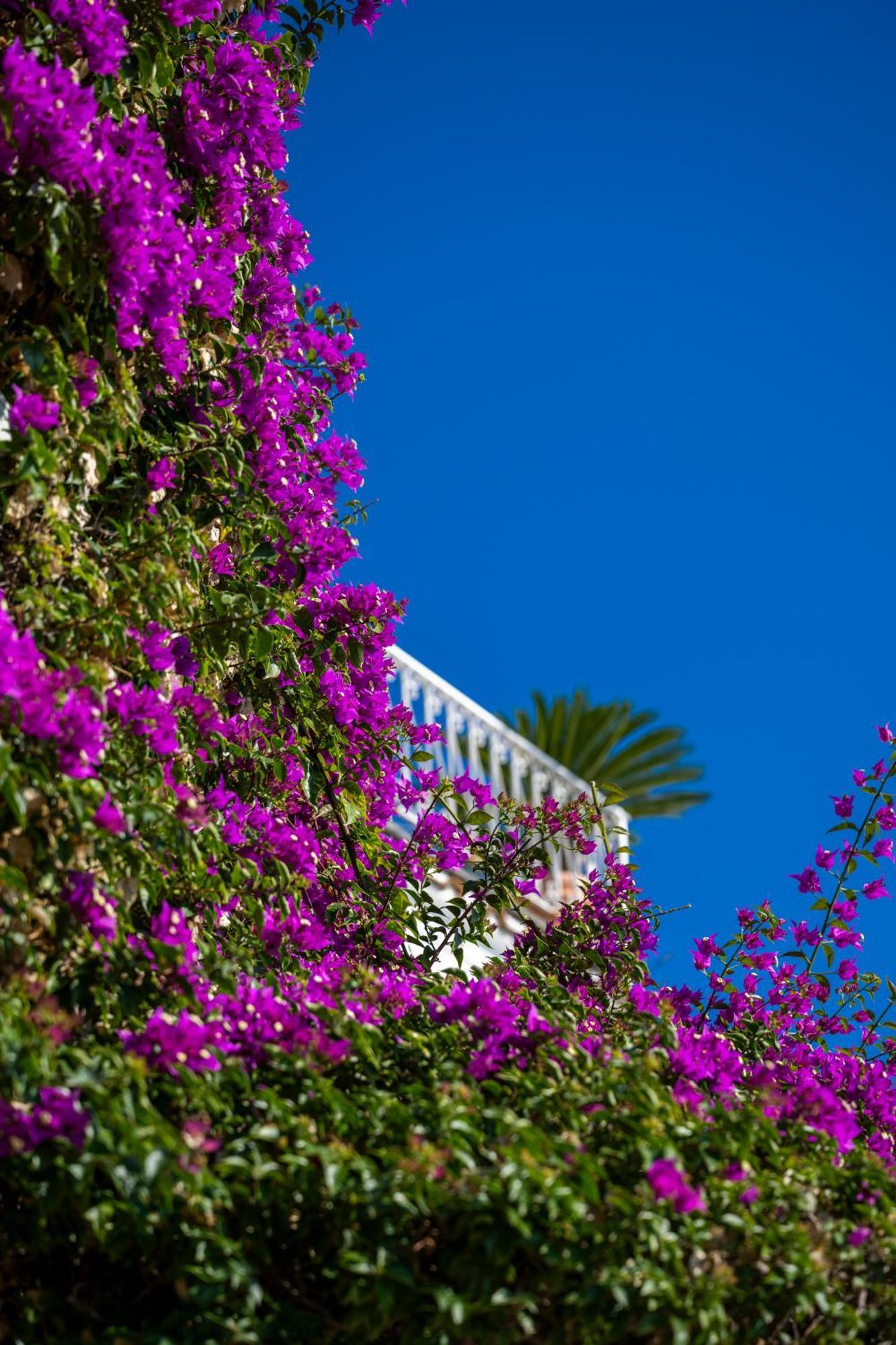 Casetta Arienzo Positano Buitenkant foto